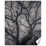 Landscape forest ceiba tree, guayaquil, ecuador Canvas 16  x 20  15.75 x19.29  Canvas - 1