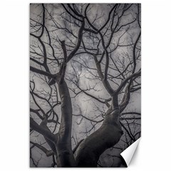 Landscape Forest Ceiba Tree, Guayaquil, Ecuador Canvas 20  X 30  by dflcprintsclothing