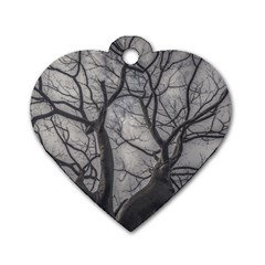 Landscape Forest Ceiba Tree, Guayaquil, Ecuador Dog Tag Heart (one Side) by dflcprintsclothing