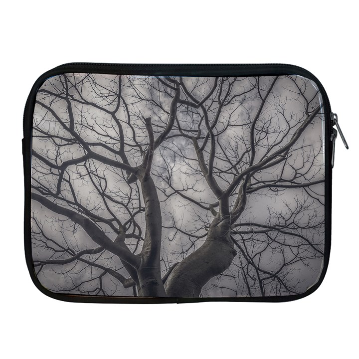 Landscape forest ceiba tree, guayaquil, ecuador Apple iPad 2/3/4 Zipper Cases