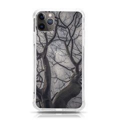 Landscape Forest Ceiba Tree, Guayaquil, Ecuador Iphone 11 Pro Max 6 5 Inch Tpu Uv Print Case by dflcprintsclothing