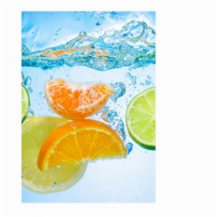 Fruits, Fruit, Lemon, Lime, Mandarin, Water, Orange Large Garden Flag (two Sides) by nateshop