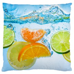 Fruits, Fruit, Lemon, Lime, Mandarin, Water, Orange Large Premium Plush Fleece Cushion Case (two Sides) by nateshop