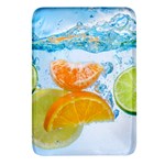 Fruits, Fruit, Lemon, Lime, Mandarin, Water, Orange Rectangular Glass Fridge Magnet (4 pack) Front