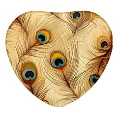 Vintage Peacock Feather Peacock Feather Pattern Background Nature Bird Nature Heart Glass Fridge Magnet (4 Pack)