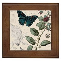 Butterflies Butterfly Botanical Nature Sketch Junk Journal Field Notes Paper Vintage Ephemera Framed Tile by Maspions