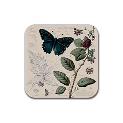 Butterflies Butterfly Botanical Nature Sketch Junk Journal Field Notes Paper Vintage Ephemera Rubber Coaster (square) by Maspions