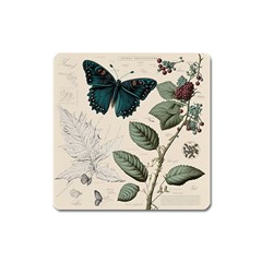 Butterflies Butterfly Botanical Nature Sketch Junk Journal Field Notes Paper Vintage Ephemera Square Magnet