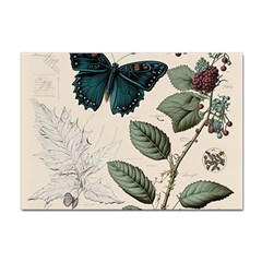 Butterflies Butterfly Botanical Nature Sketch Junk Journal Field Notes Paper Vintage Ephemera Sticker A4 (10 Pack) by Maspions