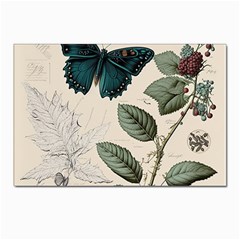 Butterflies Butterfly Botanical Nature Sketch Junk Journal Field Notes Paper Vintage Ephemera Postcard 4 x 6  (pkg Of 10) by Maspions