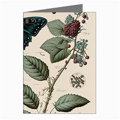 Butterflies Butterfly Botanical Nature Sketch Junk Journal Field Notes Paper Vintage Ephemera Greeting Cards (pkg Of 8)