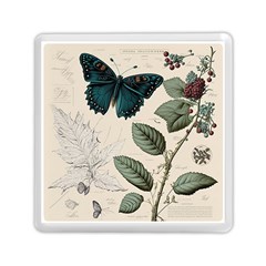 Butterflies Butterfly Botanical Nature Sketch Junk Journal Field Notes Paper Vintage Ephemera Memory Card Reader (square) by Maspions