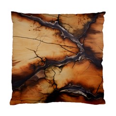 Texture Woodgrain Pattern Nature Wood Pattern Standard Cushion Case (two Sides)