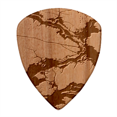 Texture Woodgrain Pattern Nature Wood Pattern Wood Guitar Pick (set Of 10) by Maspions