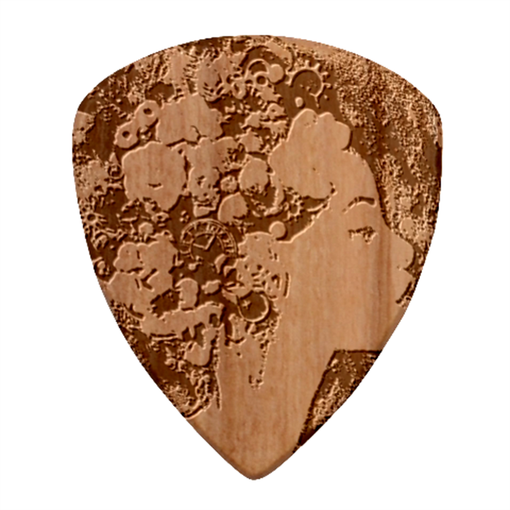 Garden Princess Wood Guitar Pick (Set of 10)