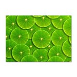 Lime Textures Macro, Tropical Fruits, Citrus Fruits, Green Lemon Texture Sticker A4 (100 pack) Front