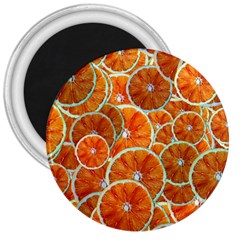 Oranges Patterns Tropical Fruits, Citrus Fruits 3  Magnets by nateshop