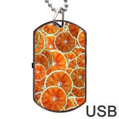 Oranges Patterns Tropical Fruits, Citrus Fruits Dog Tag Usb Flash (one Side) by nateshop