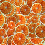 Oranges Patterns Tropical Fruits, Citrus Fruits Play Mat (Rectangle) Front