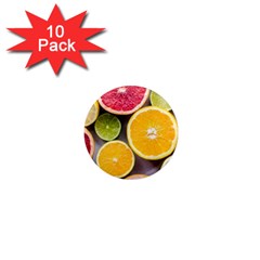 Oranges, Grapefruits, Lemons, Limes, Fruits 1  Mini Magnet (10 Pack)  by nateshop