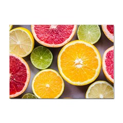 Oranges, Grapefruits, Lemons, Limes, Fruits Sticker A4 (10 Pack)