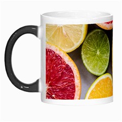 Oranges, Grapefruits, Lemons, Limes, Fruits Morph Mug by nateshop