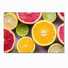 Oranges, Grapefruits, Lemons, Limes, Fruits Postcard 4 x 6  (pkg Of 10) by nateshop