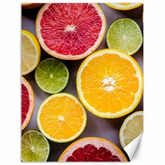 Oranges, Grapefruits, Lemons, Limes, Fruits Canvas 18  X 24  by nateshop