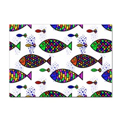 Fish Abstract Colorful Sticker A4 (10 Pack) by Maspions