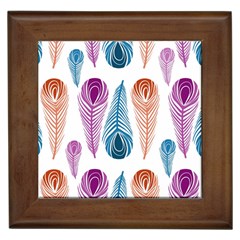 Pen Peacock Colors Colored Pattern Framed Tile