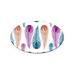 Pen Peacock Colors Colored Pattern Sticker (oval)