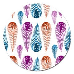 Pen Peacock Colors Colored Pattern Magnet 5  (round)