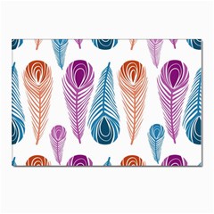 Pen Peacock Colors Colored Pattern Postcard 4 x 6  (pkg Of 10)