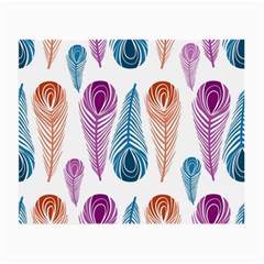 Pen Peacock Colors Colored Pattern Small Glasses Cloth