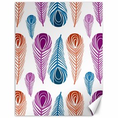 Pen Peacock Colors Colored Pattern Canvas 12  X 16 