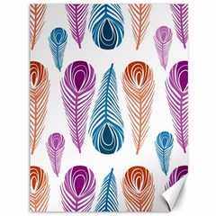 Pen Peacock Colors Colored Pattern Canvas 36  X 48  by Maspions