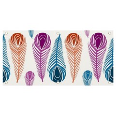 Pen Peacock Colors Colored Pattern Banner And Sign 4  X 2 