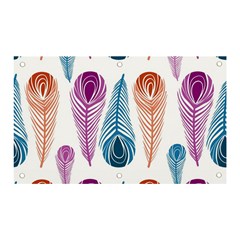 Pen Peacock Colors Colored Pattern Banner And Sign 5  X 3 