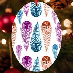 Pen Peacock Colors Colored Pattern Uv Print Acrylic Ornament Oval