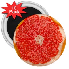 Grapefruit-fruit-background-food 3  Magnets (10 Pack) 