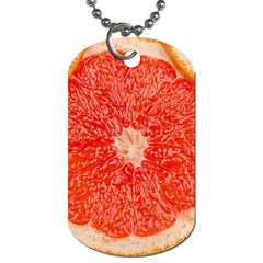 Grapefruit-fruit-background-food Dog Tag (one Side)