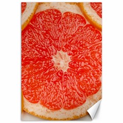 Grapefruit-fruit-background-food Canvas 12  X 18 