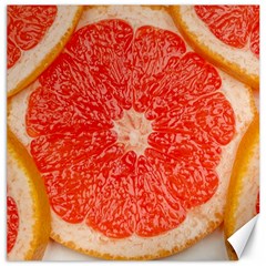 Grapefruit-fruit-background-food Canvas 16  X 16 