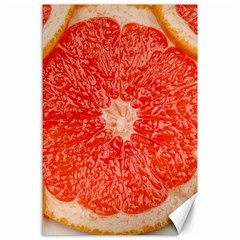 Grapefruit-fruit-background-food Canvas 24  X 36 