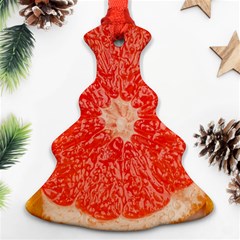 Grapefruit-fruit-background-food Christmas Tree Ornament (two Sides)