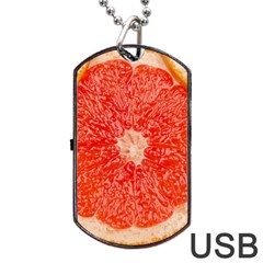 Grapefruit-fruit-background-food Dog Tag Usb Flash (one Side)