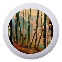 Woodland Woods Forest Trees Nature Outdoors Mist Moon Background Artwork Book Dento Box With Mirror by Posterlux