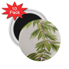 Watercolor Leaves Branch Nature Plant Growing Still Life Botanical Study 2 25  Magnets (10 Pack)  by Posterlux