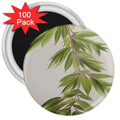 Watercolor Leaves Branch Nature Plant Growing Still Life Botanical Study 3  Magnets (100 Pack)