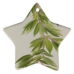 Watercolor Leaves Branch Nature Plant Growing Still Life Botanical Study Star Ornament (two Sides) by Posterlux